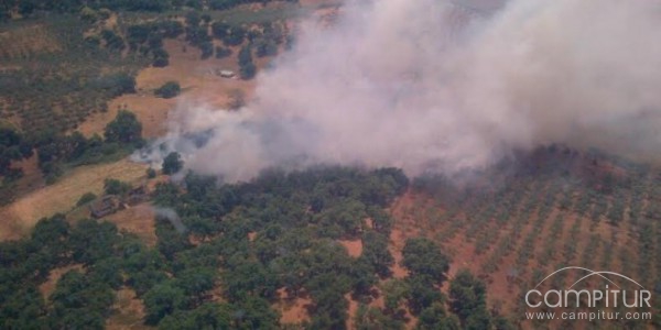 Controlado el incendio en el paraje El Robledo de Constantina