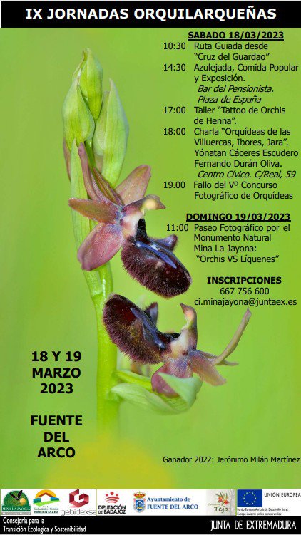 IX Jornadas Orquilarqueñas en Fuente del Arco 