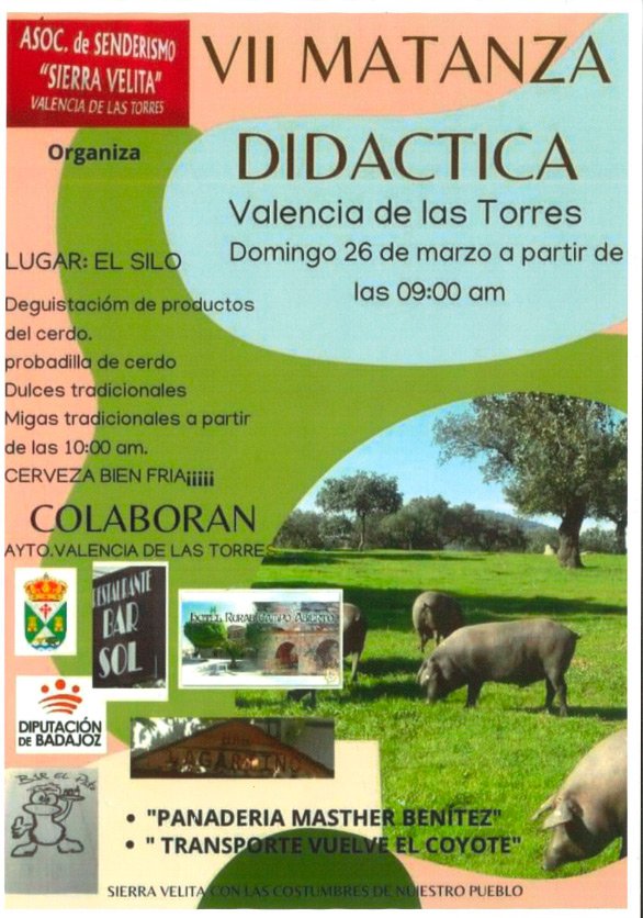 VII Matanza Didáctica en Valencia de las Torres 