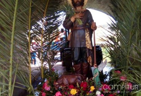 Romería de San Isidro en Berlanga 