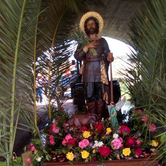 Romería de San Isidro en Berlanga 