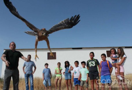 Suelta de un ejemplar de águila perdicera en Campillo de Llerena