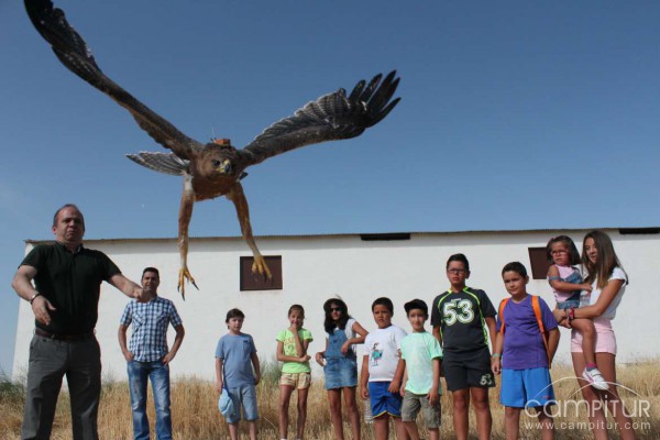 Suelta de un ejemplar de águila perdicera en Campillo de Llerena