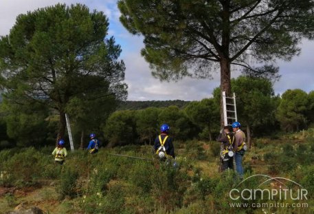 El Ayuntamiento de Villanueva del Rey informa sobre la II Escuela de Piñeros en el monte público “Las Monteras”