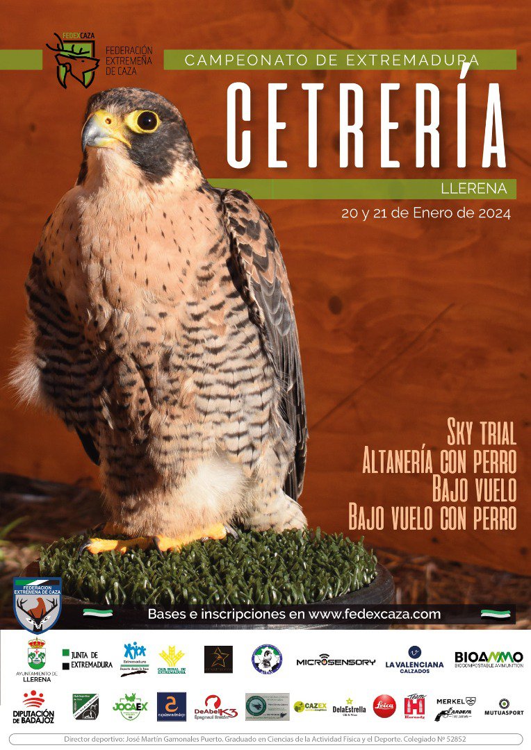 Llerena acoge el Campeonato de Extremadura de Cetrería 2024 