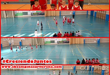 Resultados fin de semana C.B. Campiña Sur de Llerena 