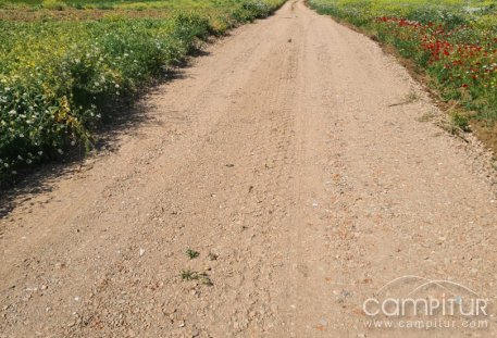 Maguilla acomete la mejora de caminos públicos con una inversión en infraestructura clave