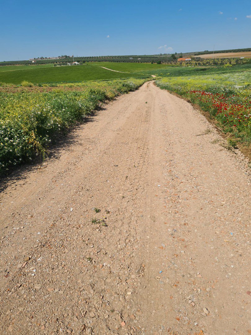 Maguilla acomete la mejora de caminos públicos con una inversión en infraestructura clave