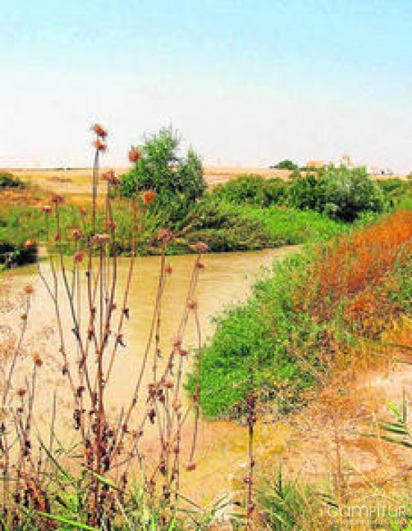 La CHG adjudica diversas intervenciones en 7 municipios de la Campiña Sur 