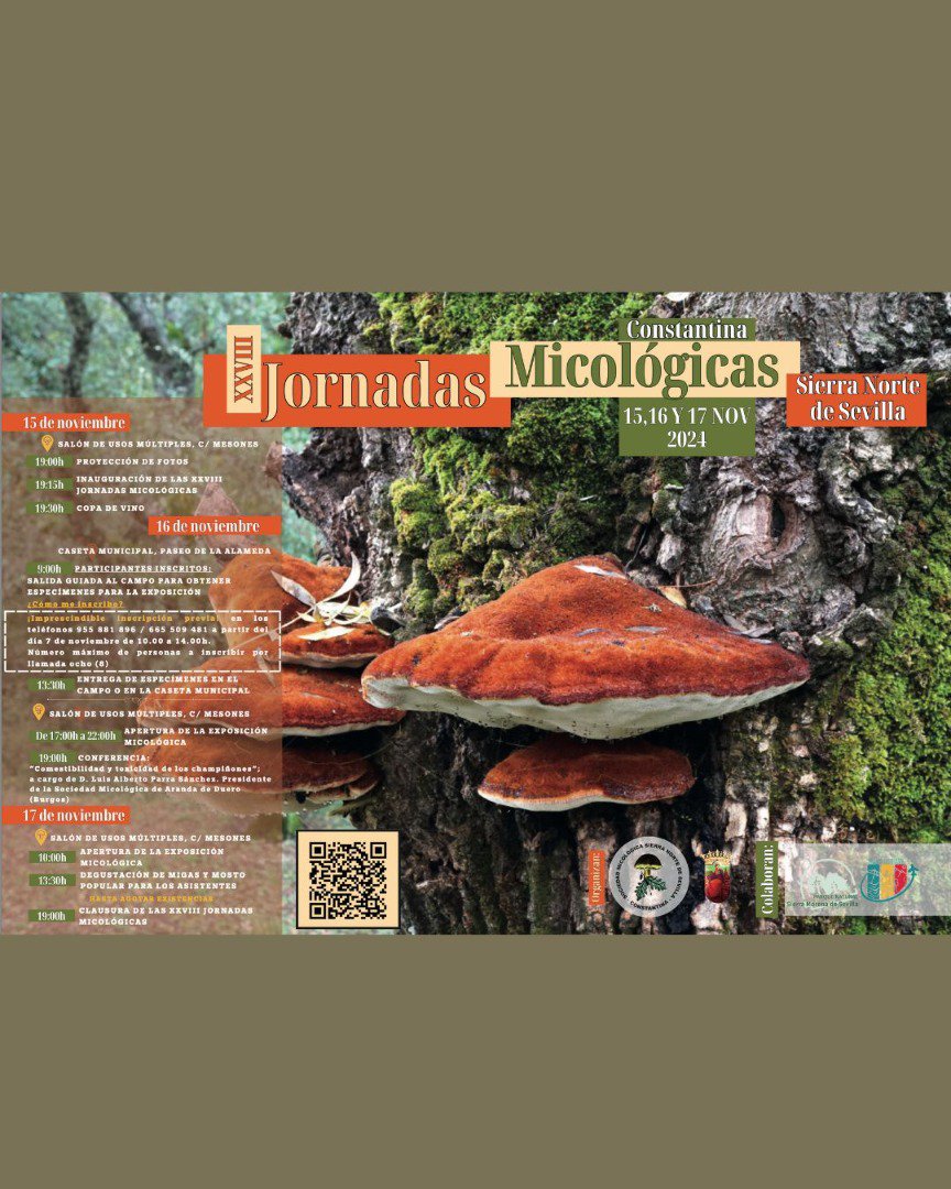 Constantina celebra las XXVIII Jornadas Micológicas: Un fin de semana para descubrir y disfrutar de los hongos