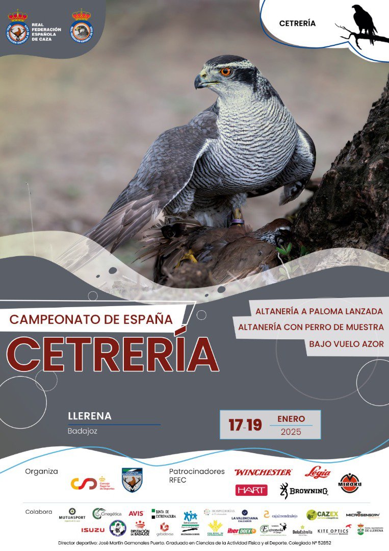 Llerena acoge el Campeonato de España de Cetrería