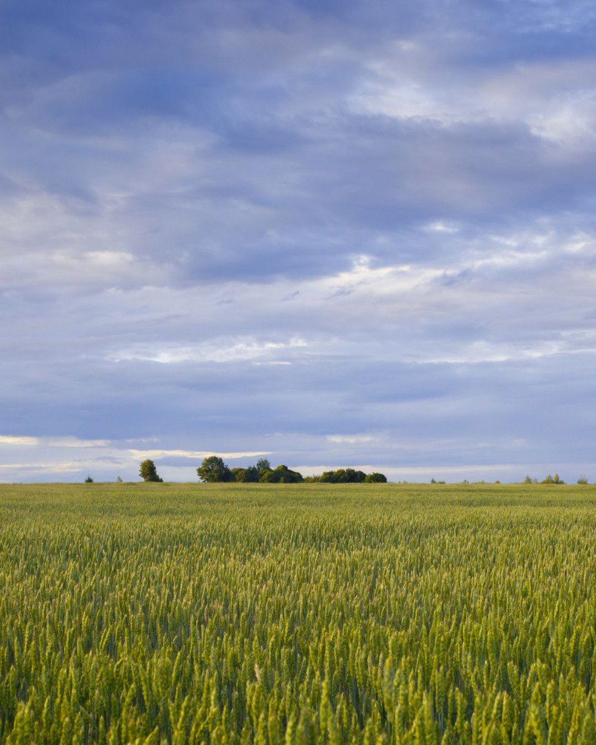 Extremadura abre convocatoria para ayudas a jóvenes agricultores y modernización de explotaciones agrarias