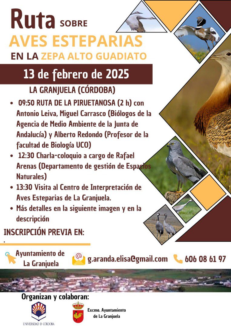 Ruta sobre Aves Esteparias en la ZEPA Alto Guadiato  