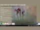 Abierta la convocatoria para el VII Concurso de Fotografía de las XI Jornadas Orquilarqueñas 
