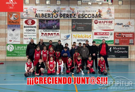C.B. Campiña Sur de Llerena, celebrada con éxito la convivencia Minibasket Alevín en el “Alberto Pérez” 