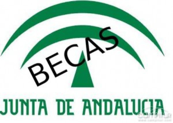 La Junta de Andalucía pone en marcha Becas para sus jóvenes 