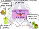Nuevo corte de carretera el 29 de marzo en Berlanga para exigir la conversión de la N-432 en la autovía A-81  