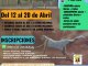 I Torneo de Tenis de Semana Santa en Granja de Torrehermosa