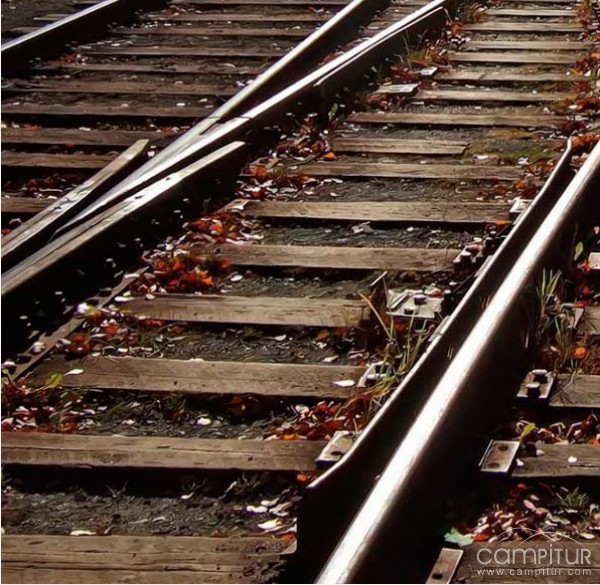 Un tren arroya a un vehículo en Villagarcía de la Torre 