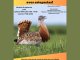 Este verano, elige naturaleza: descubre el Centro de Interpretación de Aves Esteparias en La Granjuela 