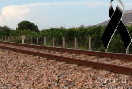 Fallece el hombre herido tras ser arrollado por un tren 