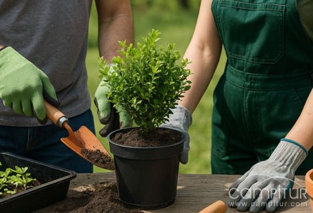 Nuevas ayudas y proyectos aprobados para Berlanga