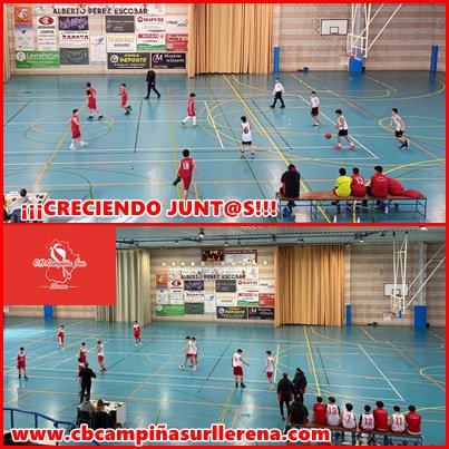 Pleno de victorias para la base del C. B. Campiña Sur de Llerena en JUDEX-FEXB