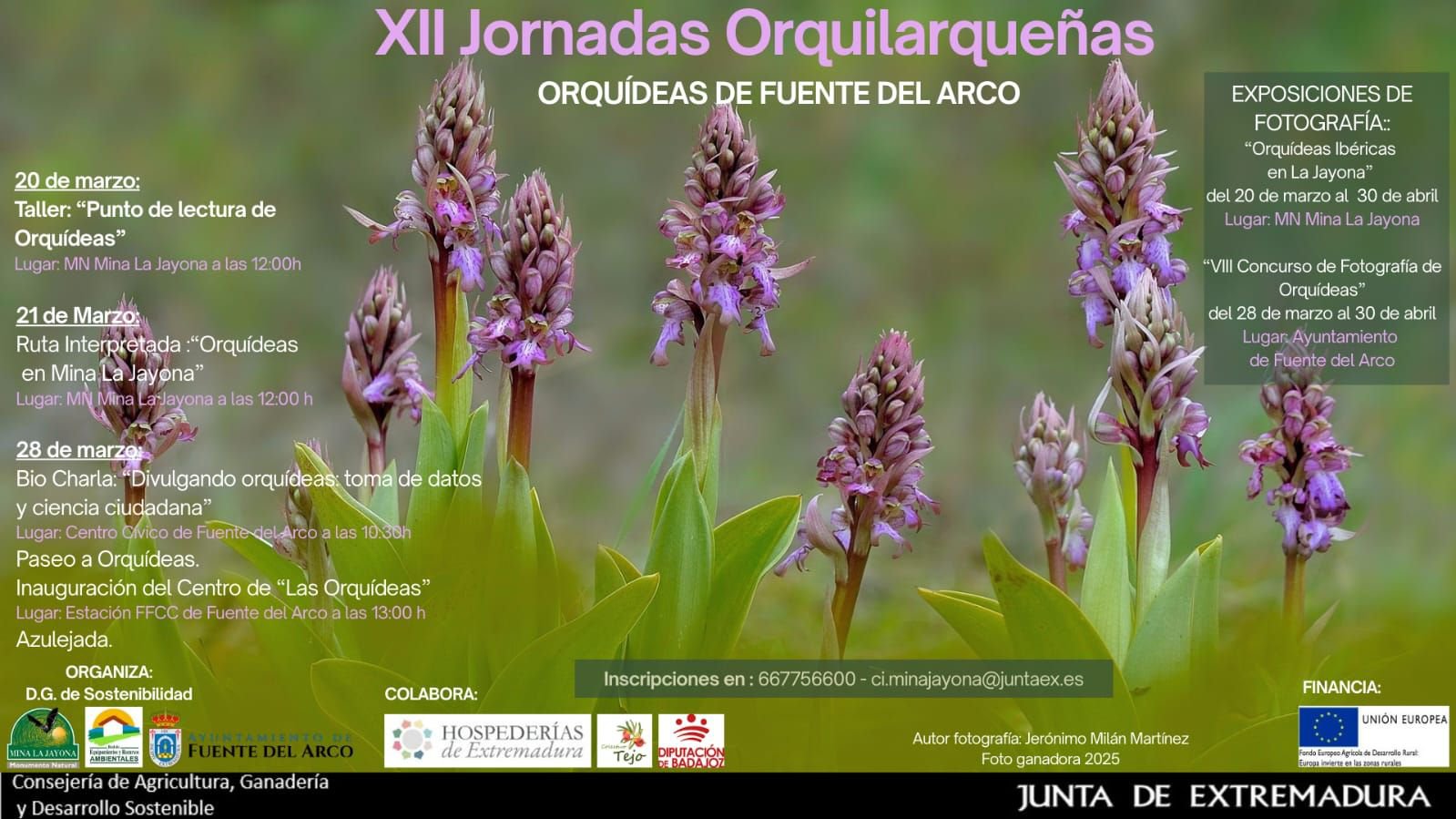 Fuente del Arco celebra las XII Jornadas Orquilarqueñas con rutas, talleres y un concurso de fotografía