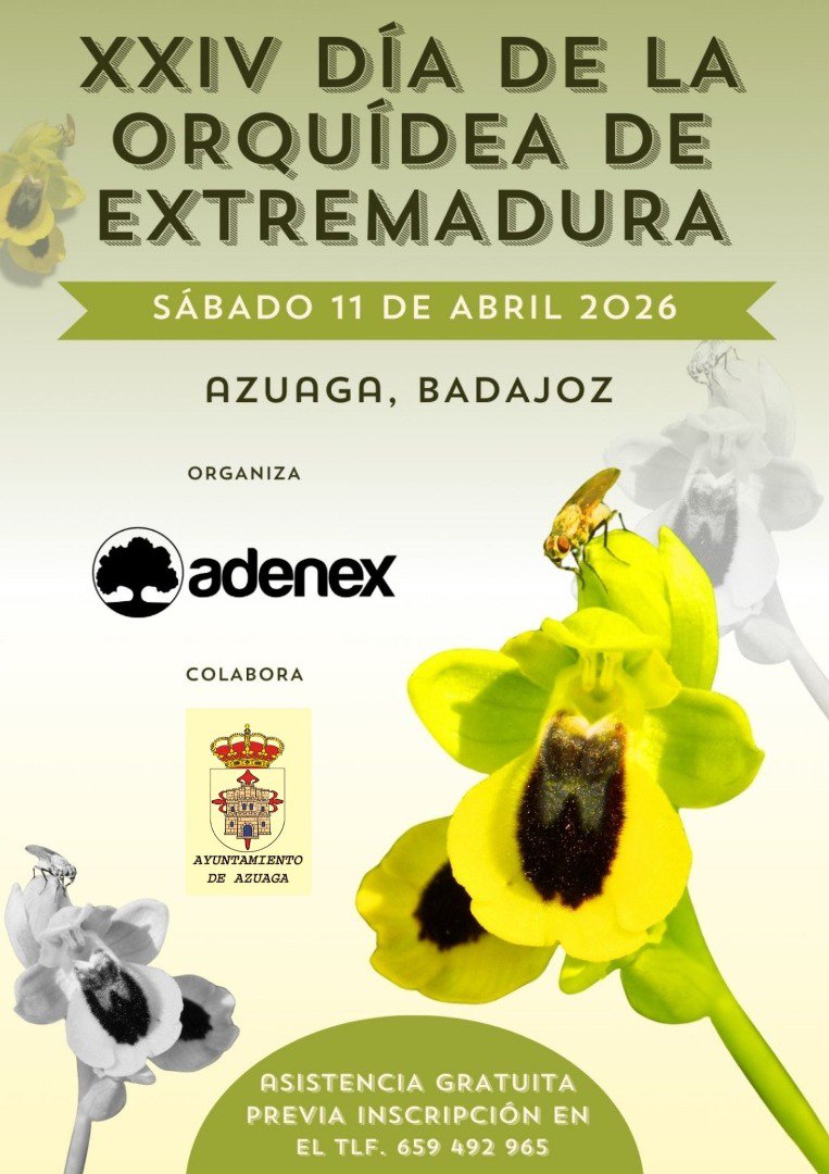Azuaga acogerá el XXIV Día de la Orquídea de Extremadura el 11 de abril de 2026