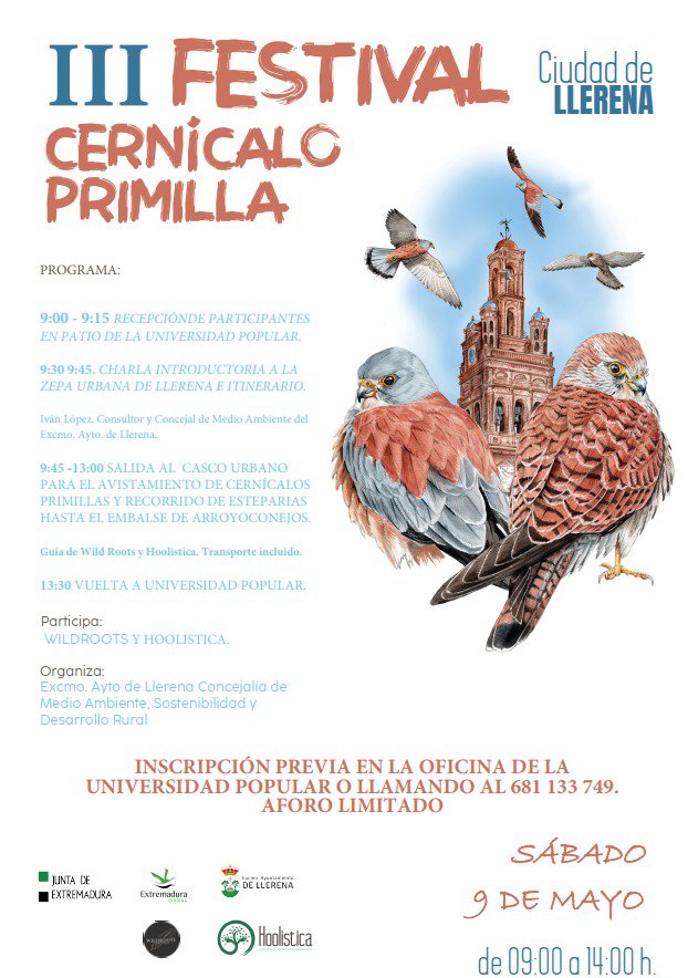 Llerena se cita con el cernícalo primilla
