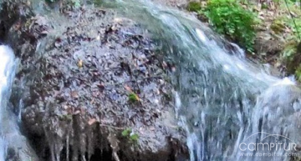 El Ayuntamiento de Peñarroya-Pueblonuevo solicita la limpieza del arroyo Hontadilla 