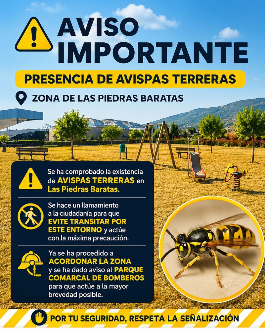 Alertan de la presencia de avispas terreras en Las Piedras Baratas