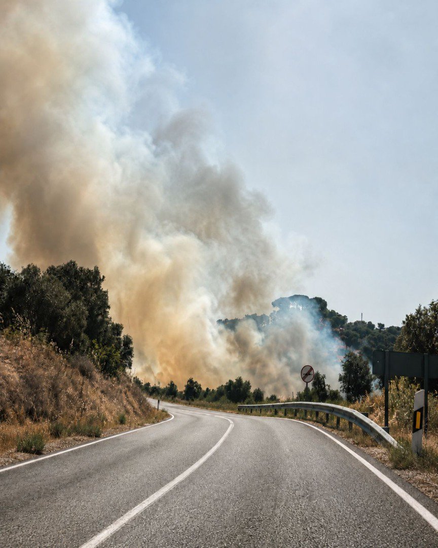 Un incendio en El Pedroso obliga a cortar la A-432