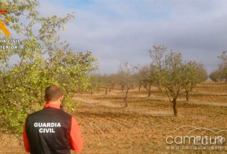 Detenido un vecino de Usagre por robar en una explotación 