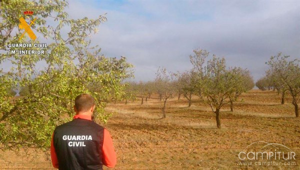 Detenido un vecino de Usagre por robar en una explotación 