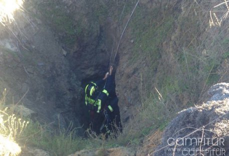 Intervienen los Bomberos en el rescate de un perro en Azuaga 