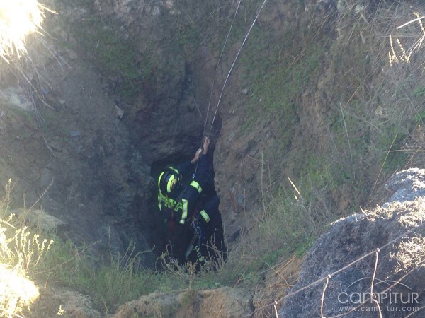 Intervienen los Bomberos en el rescate de un perro en Azuaga 