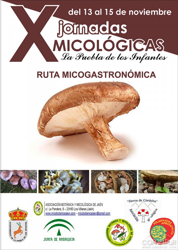 X Jornadas Micológicas y Ruta Micogastronómica de la Puebla de los Infantes 