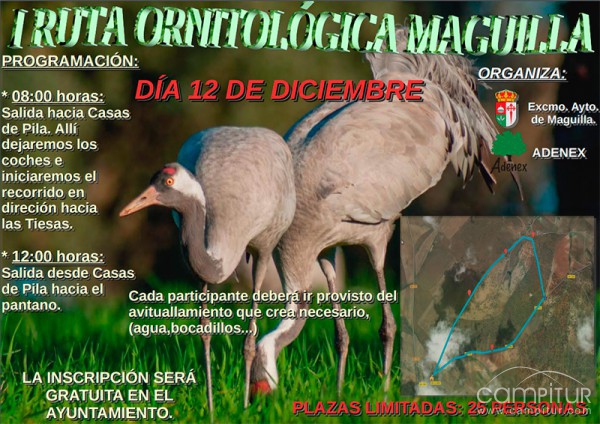 I Ruta Ornitológica Maguilla 