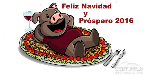 Os deseamos unas Felices Fiestas 