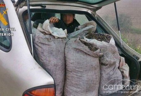 15 detenidos por robo en una finca de Campillo de Llerena 