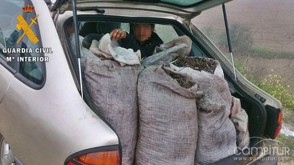 15 detenidos por robo en una finca de Campillo de Llerena 