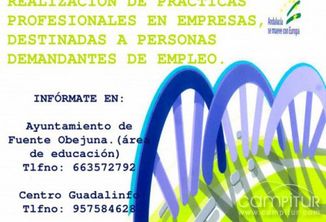 Programa de Experiencia Profesional para el Empleo en Fuente Obejuna 