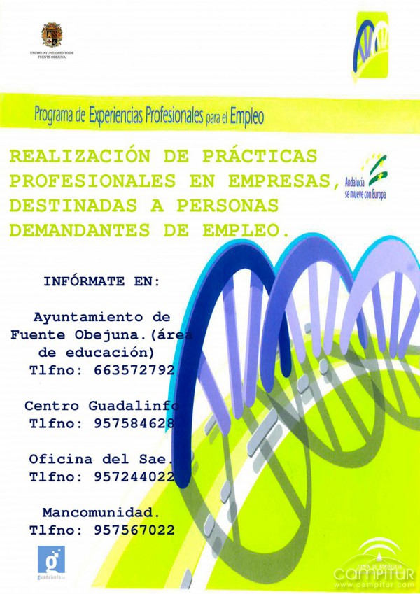 Programa de Experiencia Profesional para el Empleo en Fuente Obejuna 