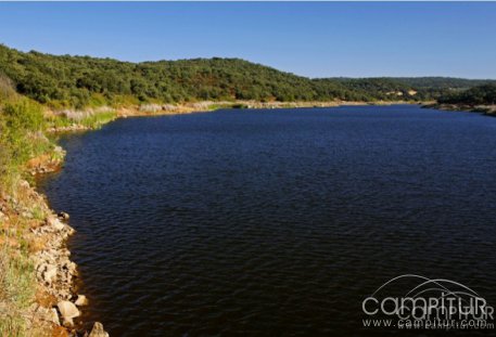 Limpieza de las orillas y alrededores del Pantano del Sotillo en Cazalla 