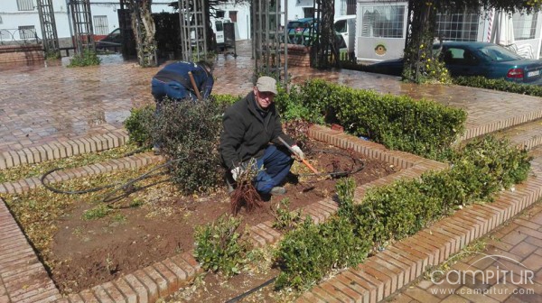 El Ayuntamiento de Alanís lleva a cabo mejoras en parques y jardines 