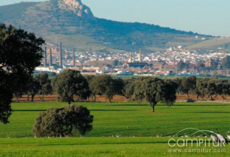 Actividad del Club Patrimonio Natural en Peñarroya –Pueblonuevo  