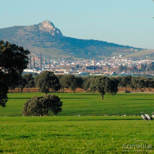 Actividad del Club Patrimonio Natural en Peñarroya –Pueblonuevo  