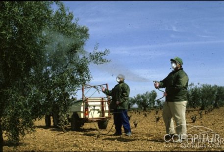 Azuaga y Valverde se beneficiarán de 2 cursos promovidos por la Consejería de Agricultura