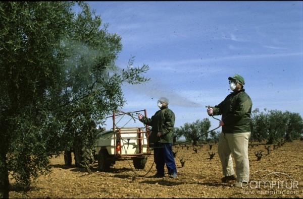 Azuaga y Valverde se beneficiarán de 2 cursos promovidos por la Consejería de Agricultura